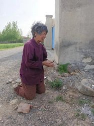 �Ͳ��ʹ���������Ȩ����� ���������