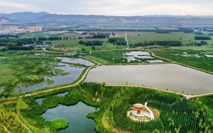 <b>ɽͬ2025йаǿ¯ ͬλ49</b>