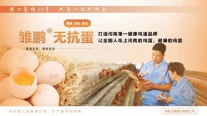 һö���޿������ĳ����뵣��