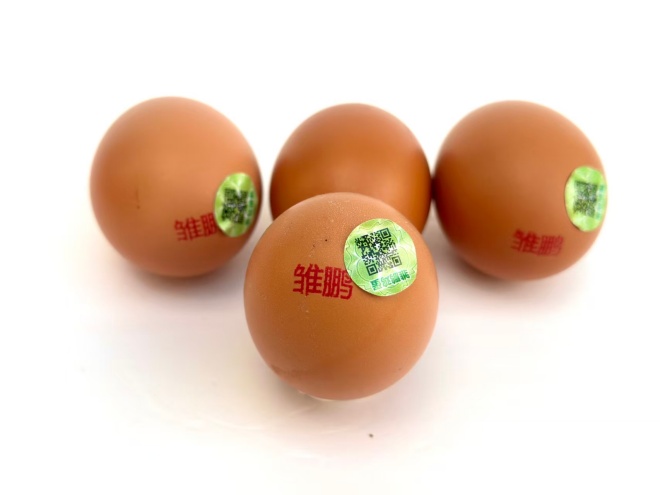 一枚“无抗蛋”的初心与担当(图5) 10.jpg