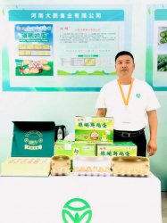 �������������޿����ٶȵ���ȫ�������